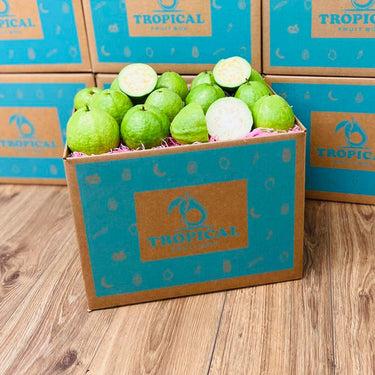 Fresh Tropical White Guava Box (Thai Guava) Produce Box Tropical Fruit Box 8 lbs